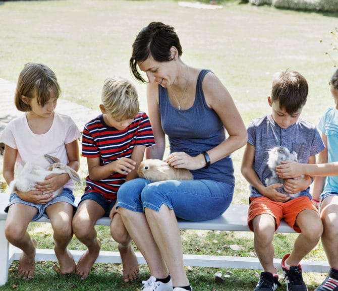 Streichelzoo neben dem Hotel